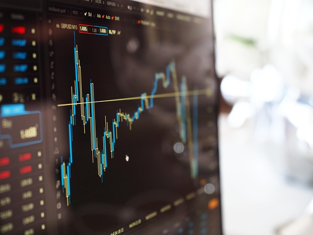 Hyundai Motor stock guide - Investment