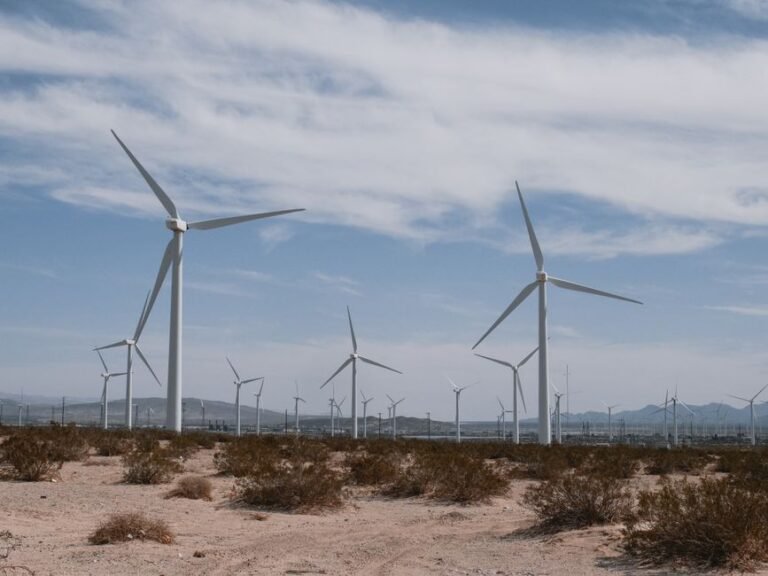 Renewable energy stock portfolio - Investment