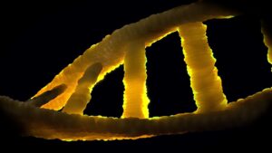 Bio Stocks in Korea: A Portfolio Primer