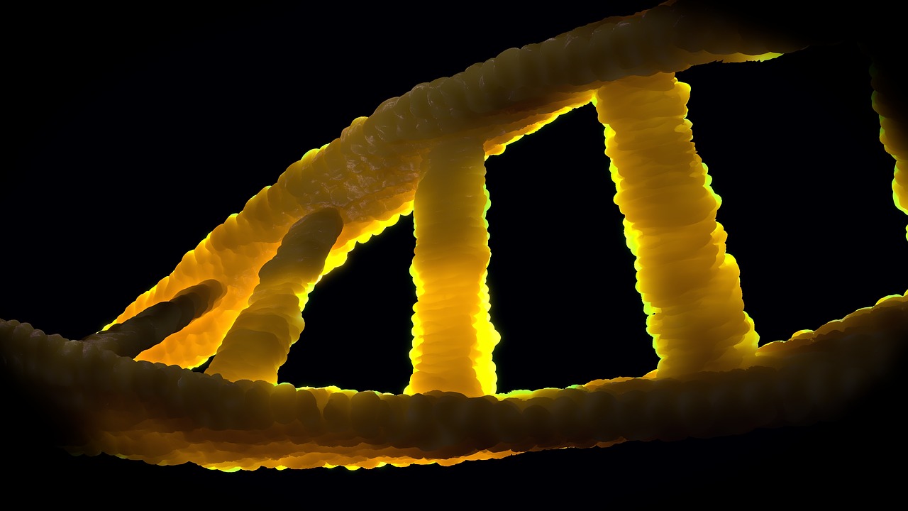 Bio Stocks in Korea: A Portfolio Primer