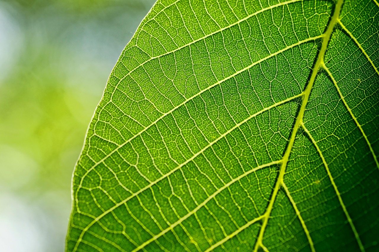 The Ascendance of ESG Fund Korea: A Data-Driven Analysis